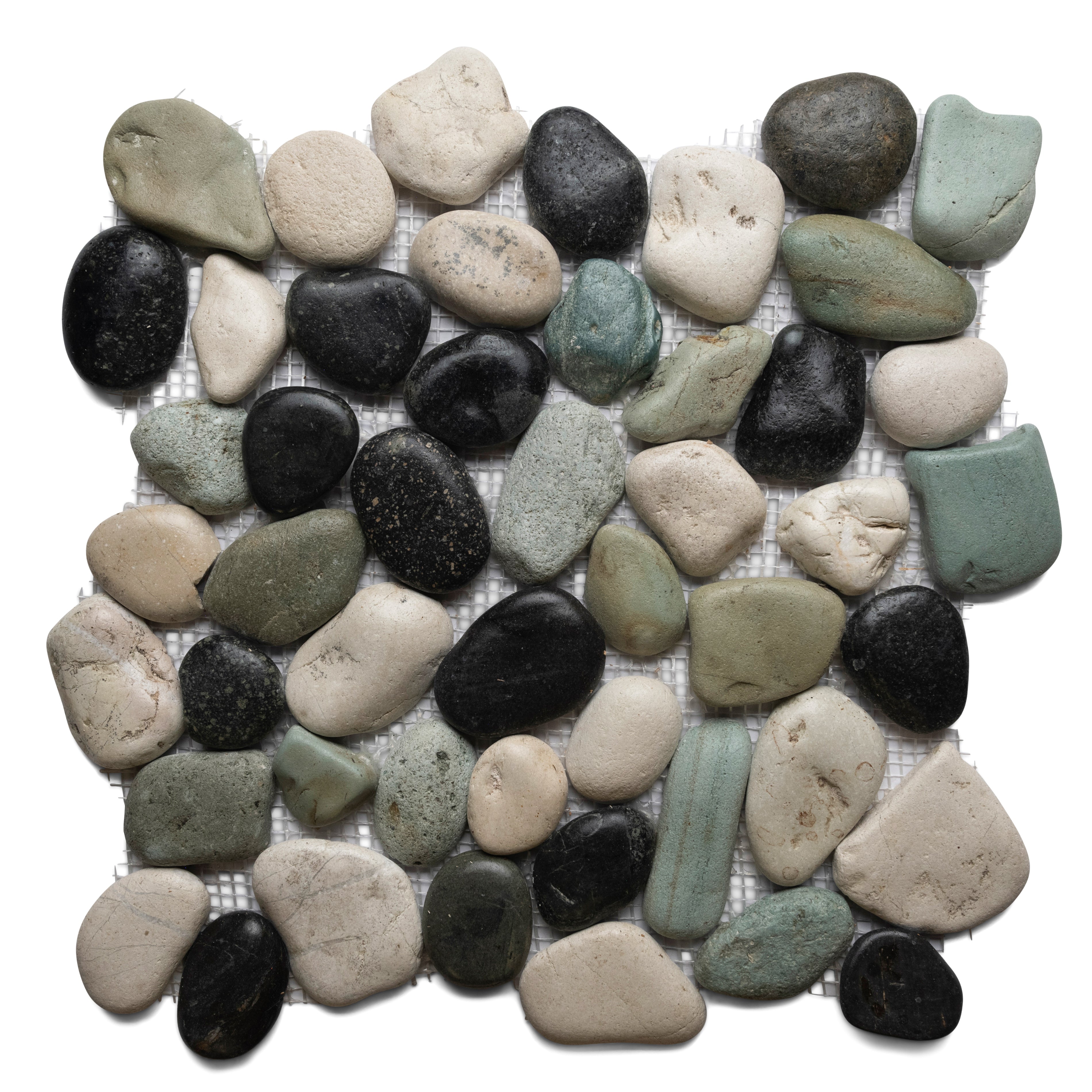 Glazed Bali Turtle Pebble Tile - Pebble Tile Shop