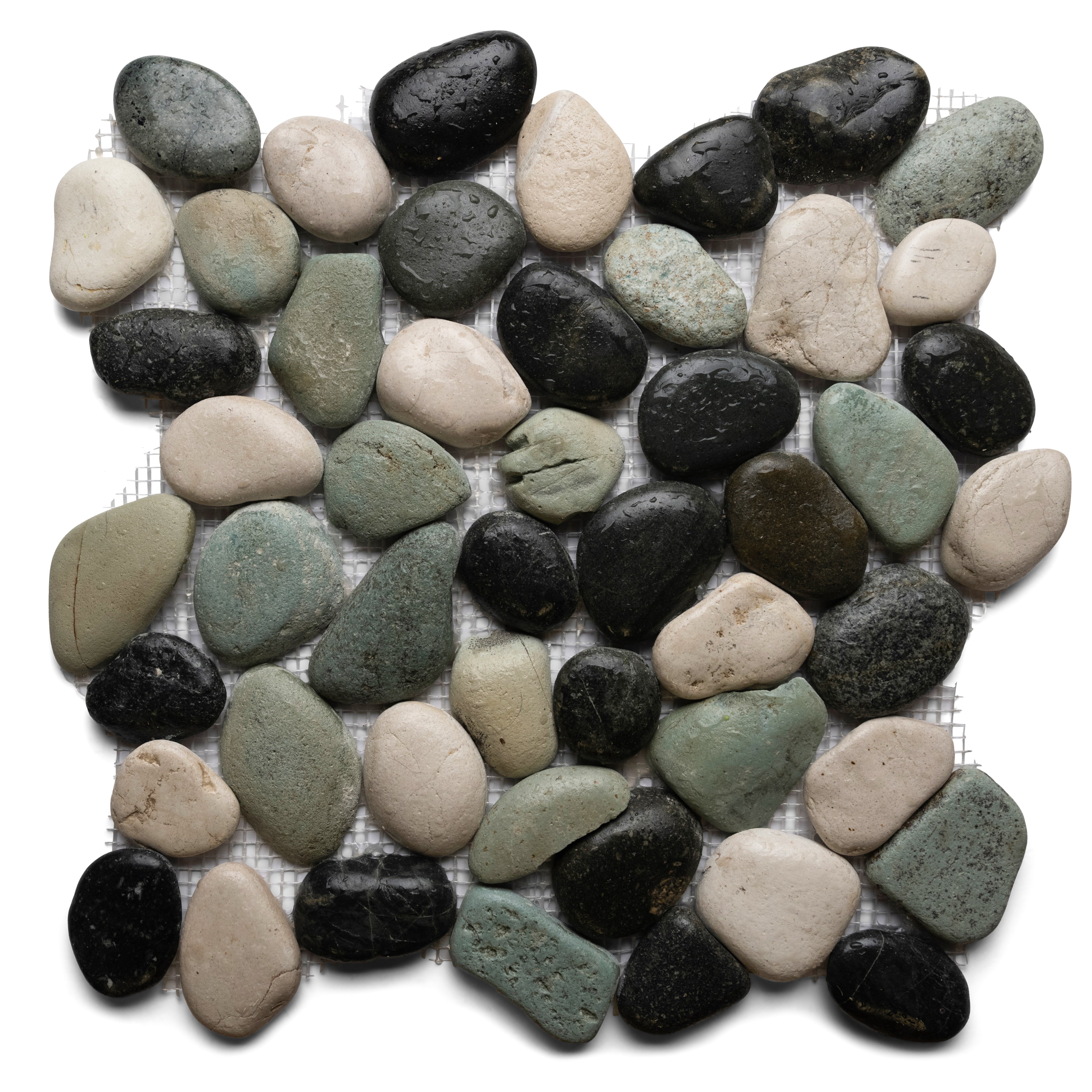 Glazed Bali Turtle Pebble Tile - Pebble Tile Shop