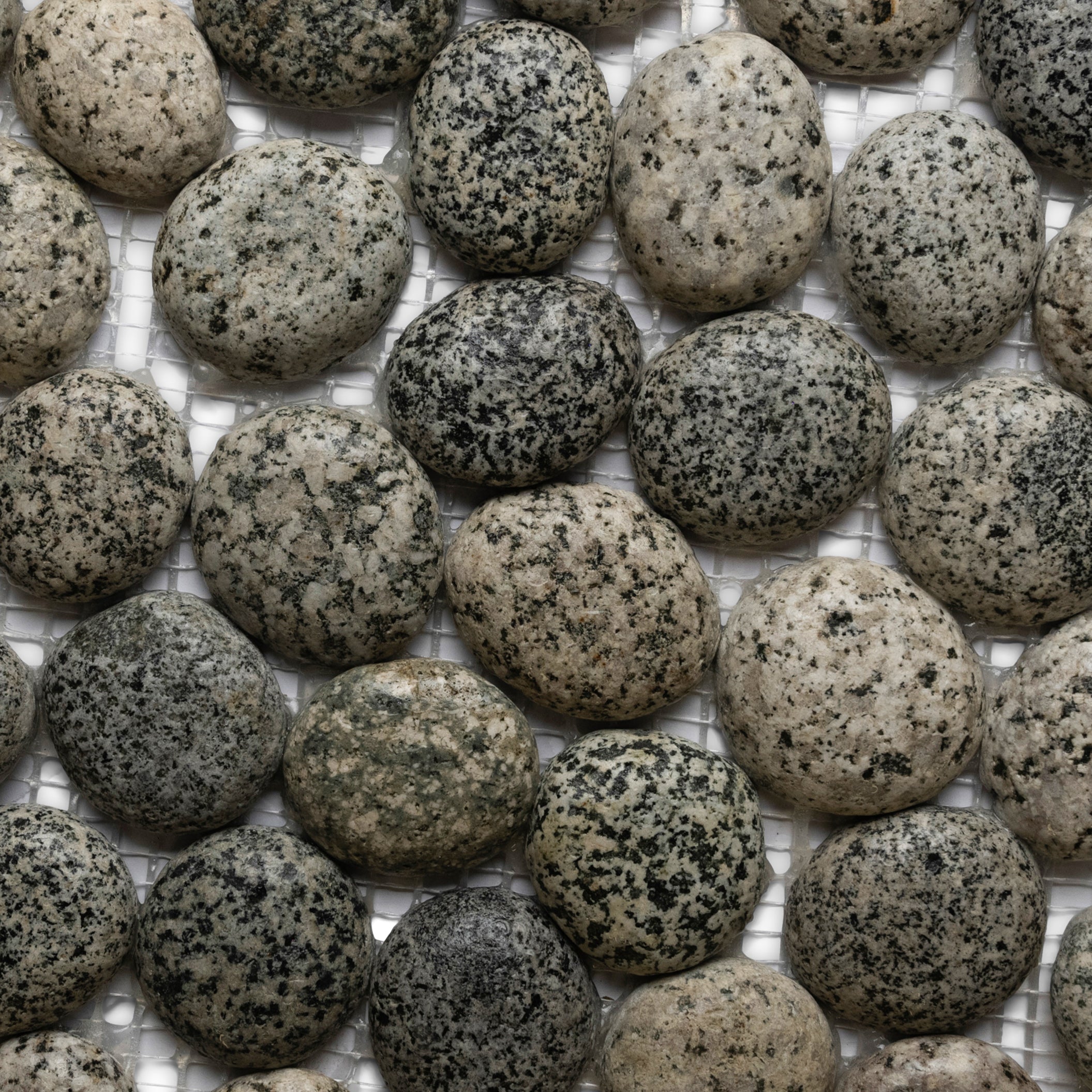 Glazed Speckled Pebble Tile - Pebble Tile Shop