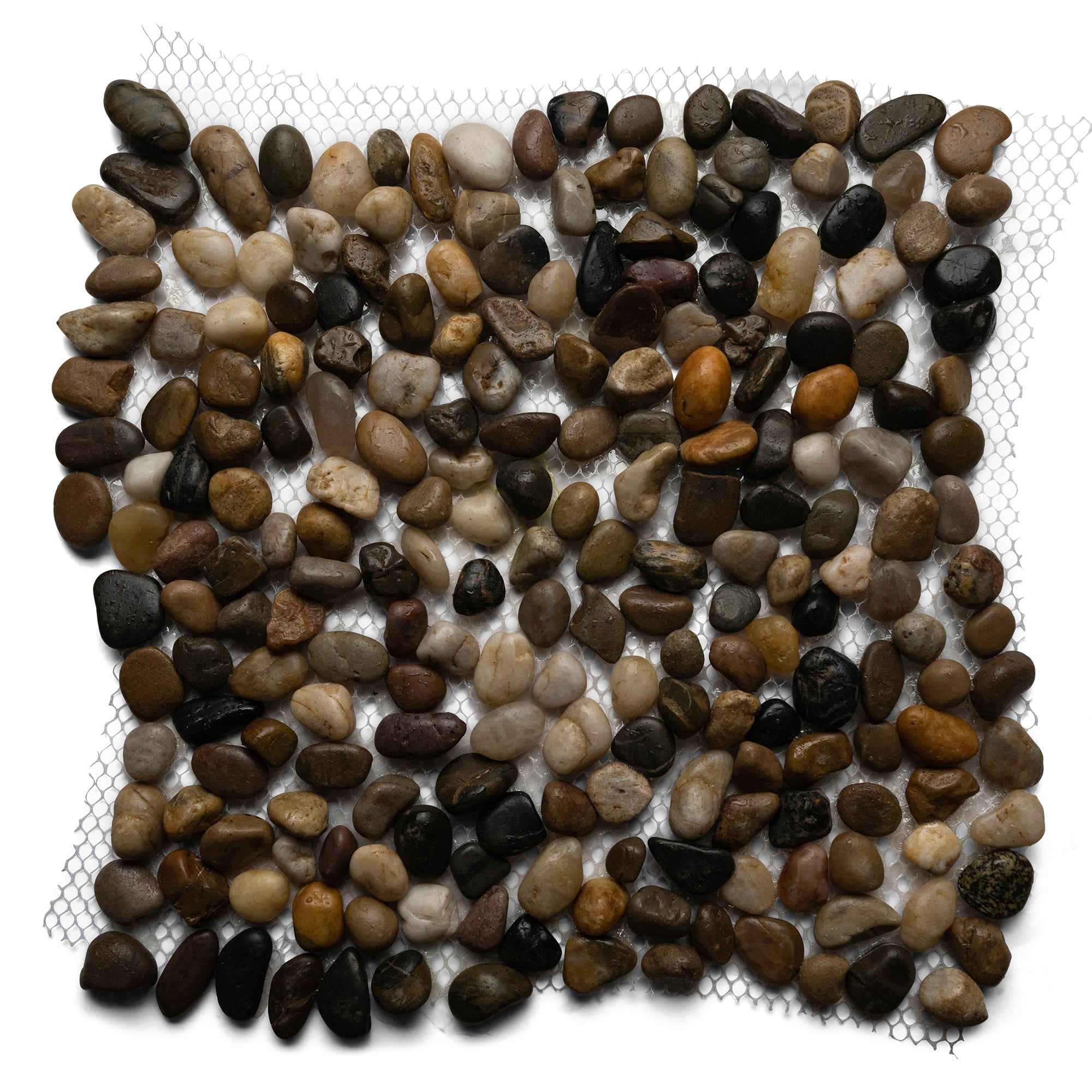 Mini Polished Cobblestone Pebble Tile - Pebble Tile Shop