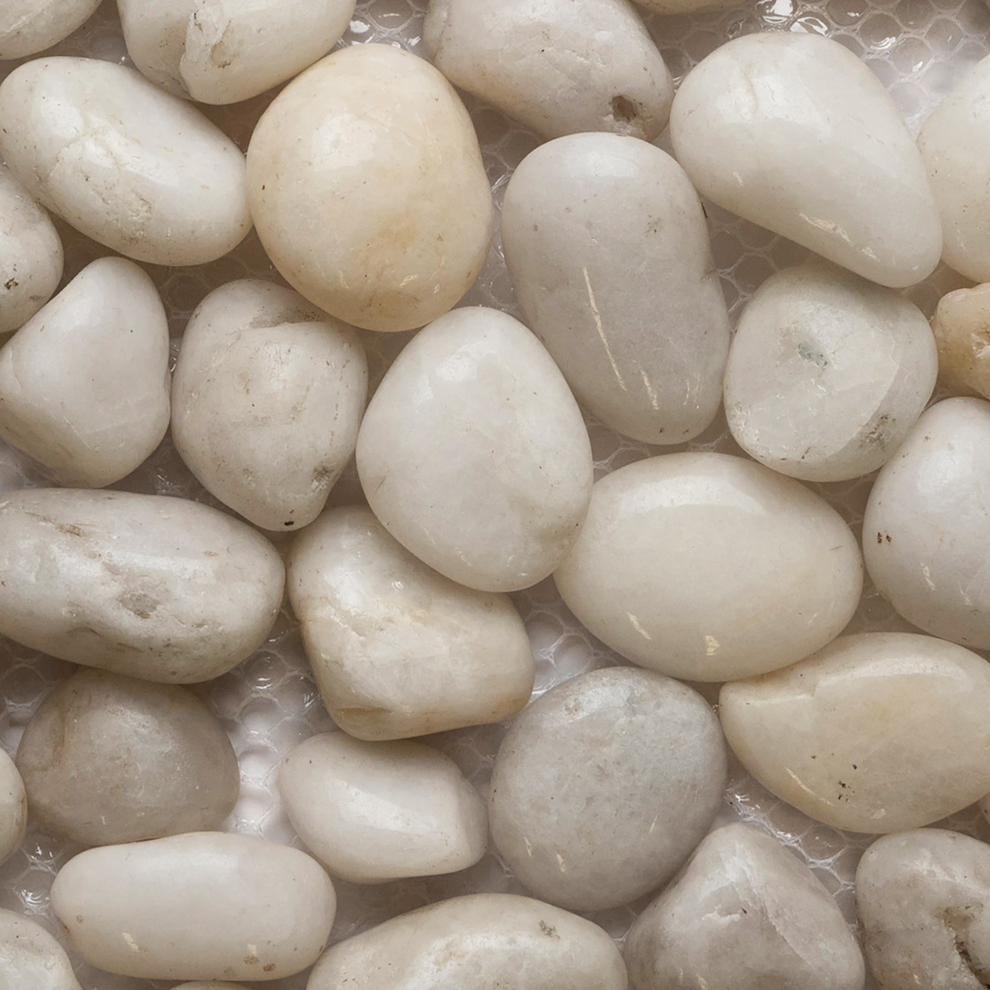 Mini Polished White Pebble Tile - Pebble Tile Shop