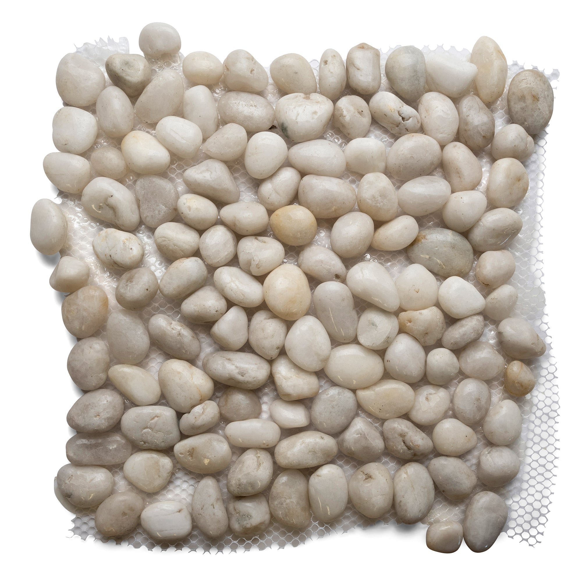 Mini Polished White Pebble Tile - Pebble Tile Shop