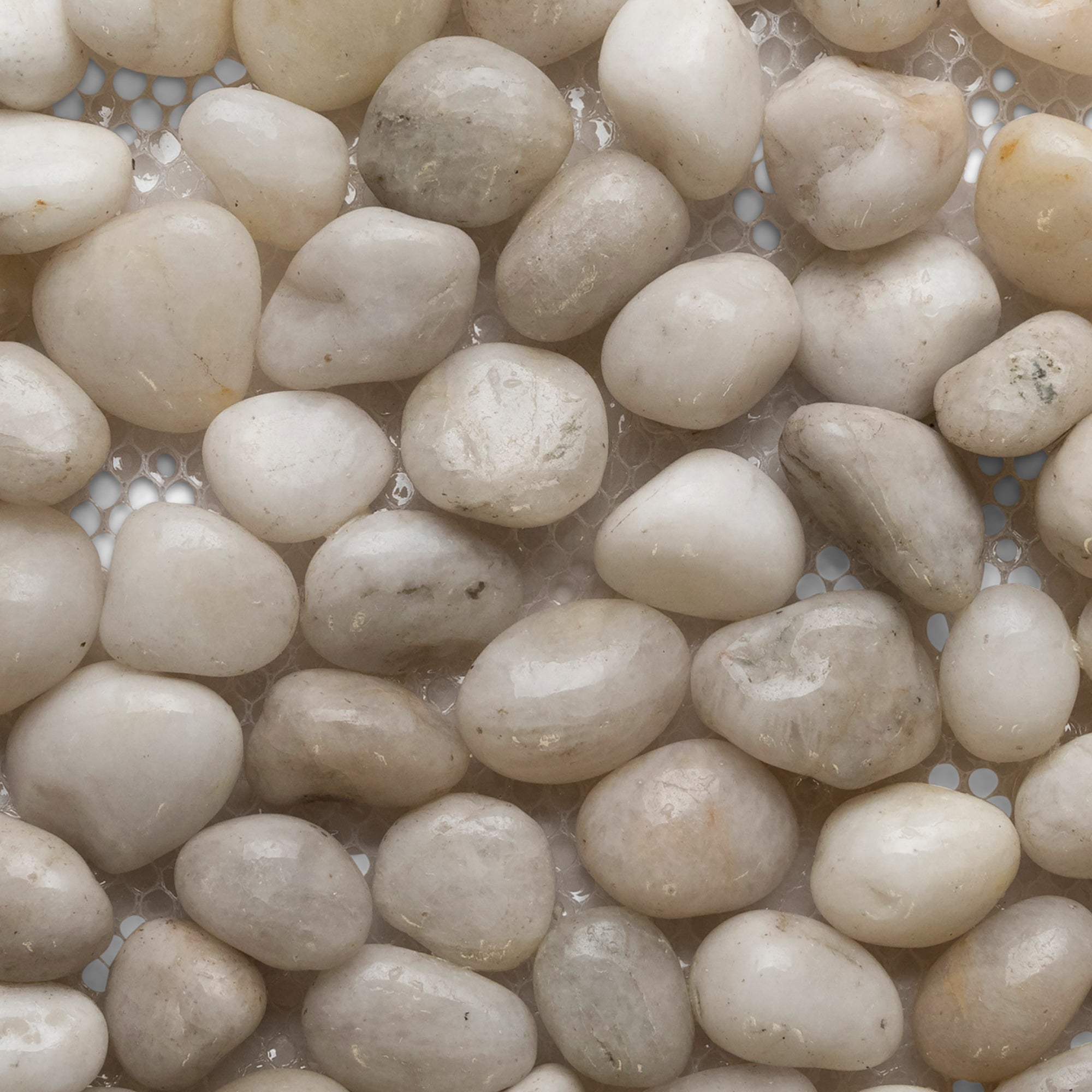 Mini Polished White Pebble Tile - Pebble Tile Shop