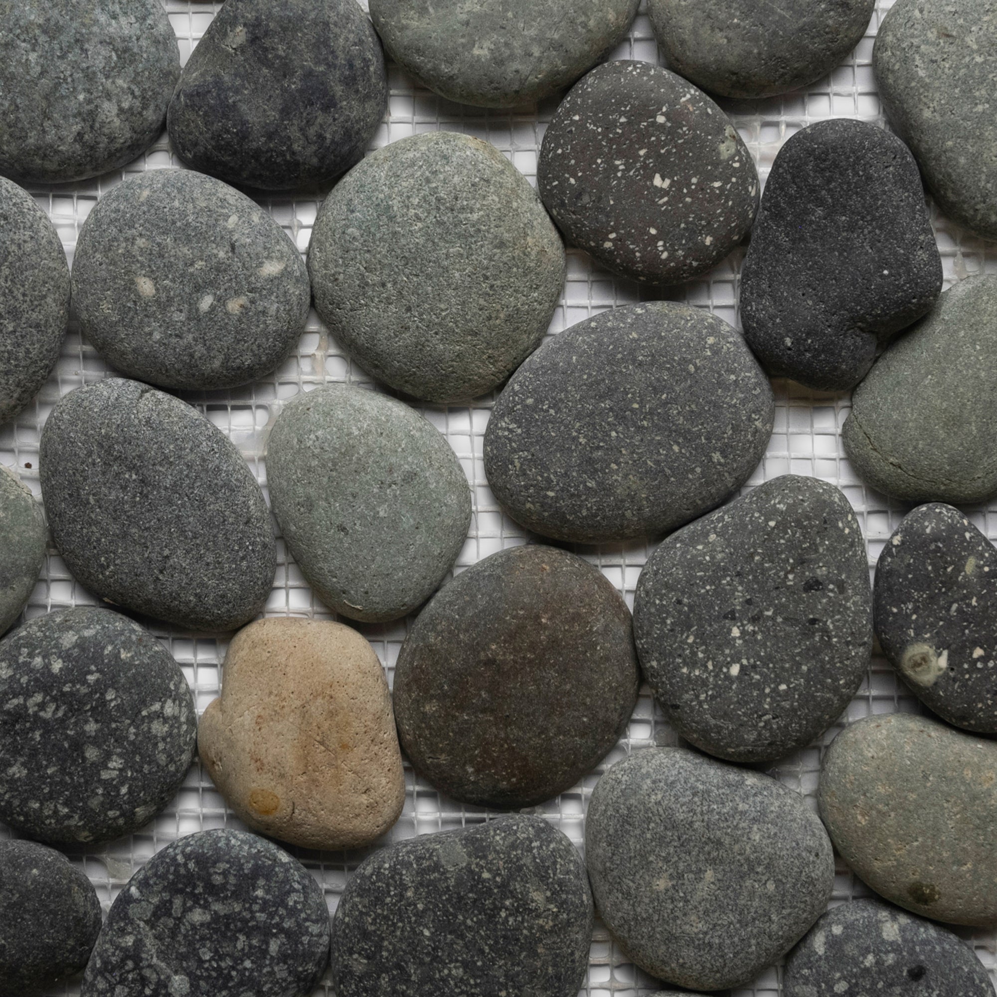 Bali Ocean Pebble Tile - Pebble Tile Shop