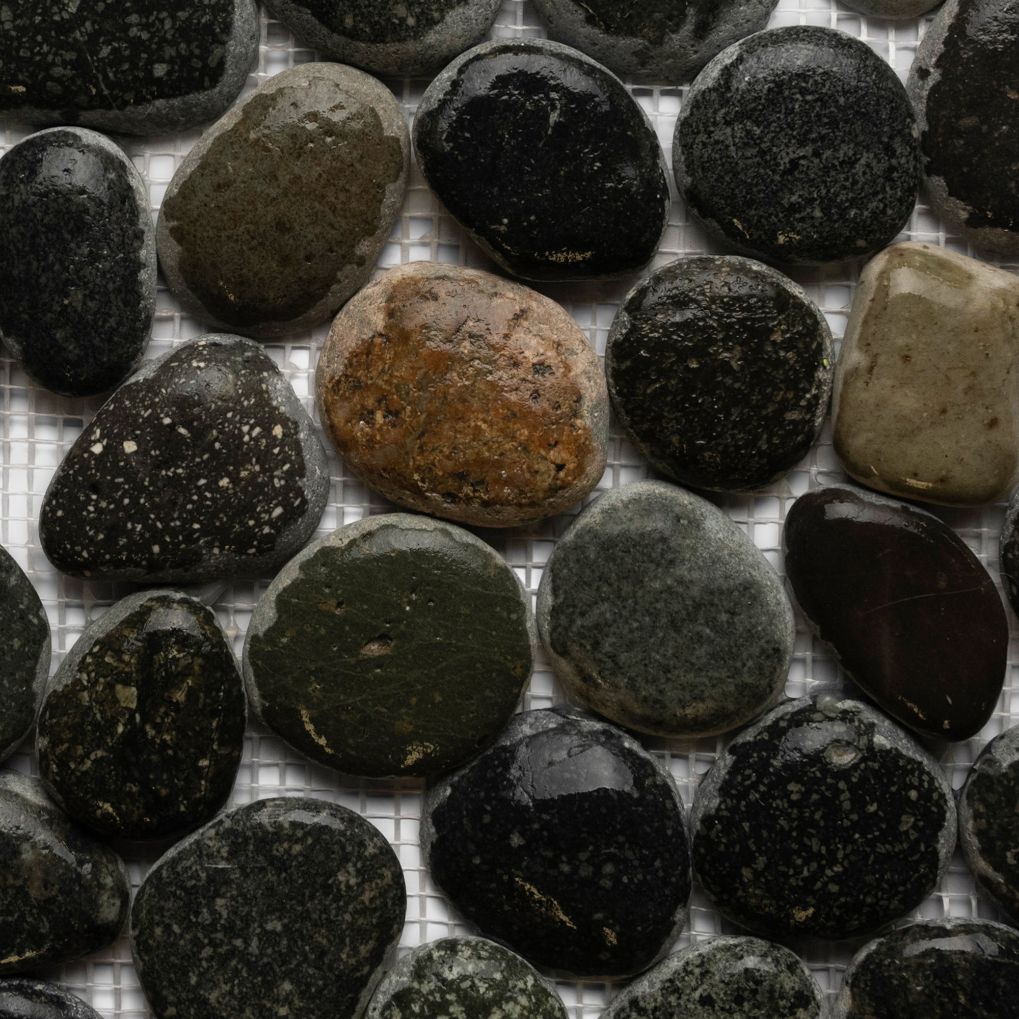 Bali Ocean Pebble Tile - Pebble Tile Shop