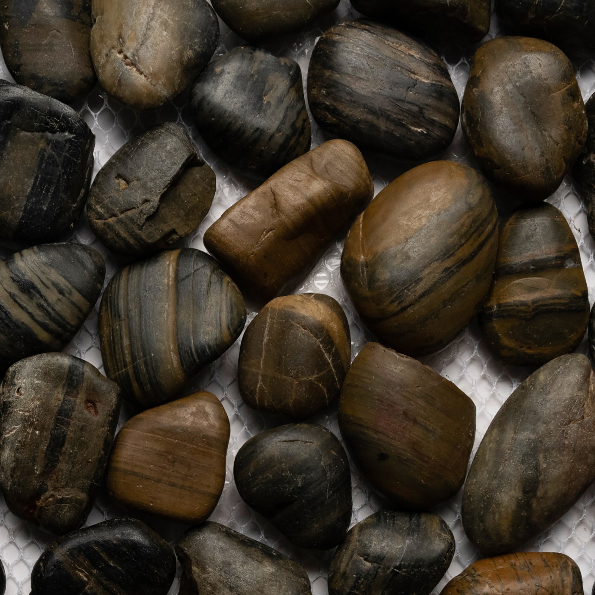 Polished Tiger Eye Pebble Tile - Pebble Tile Shop