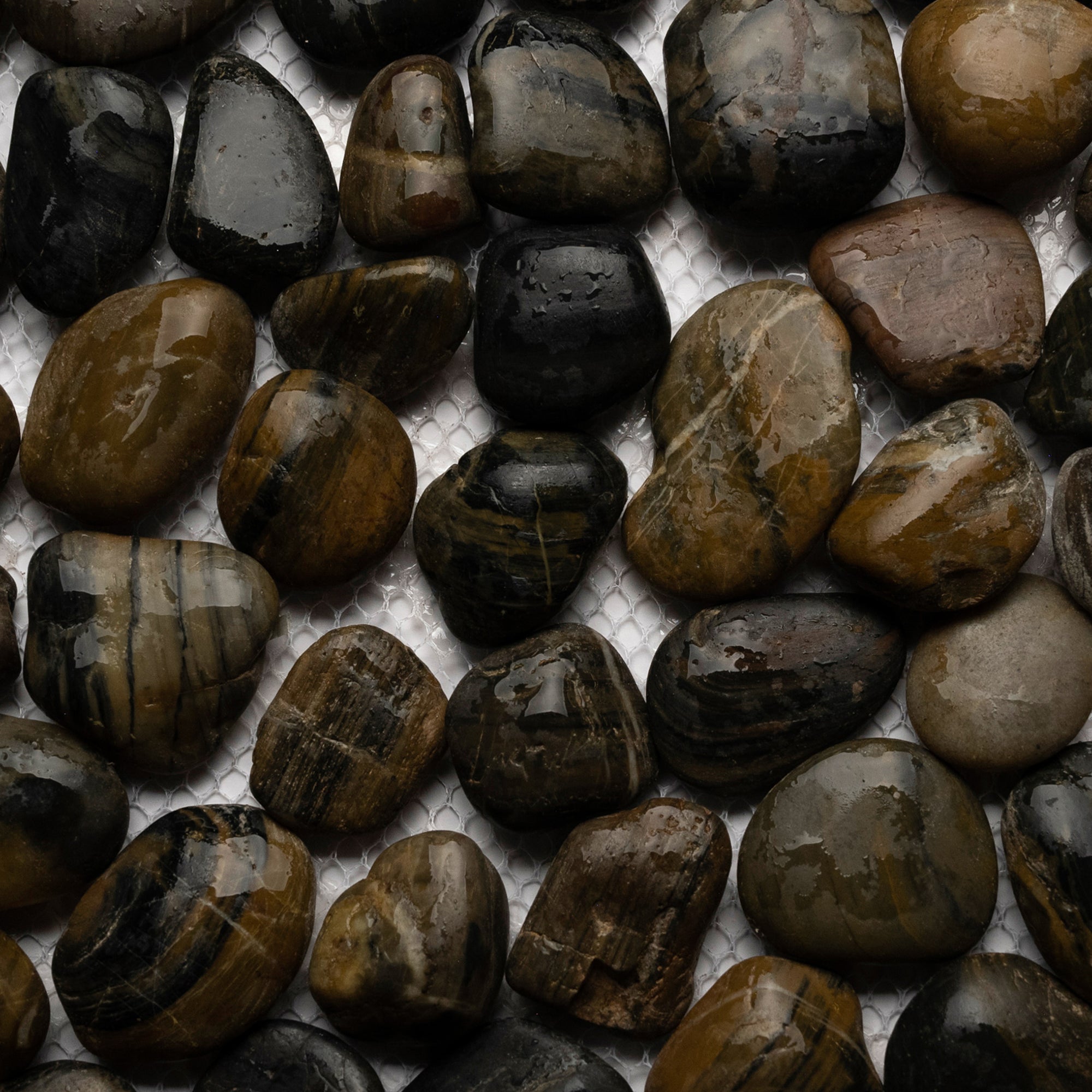 Polished Tiger Eye Pebble Tile - Pebble Tile Shop