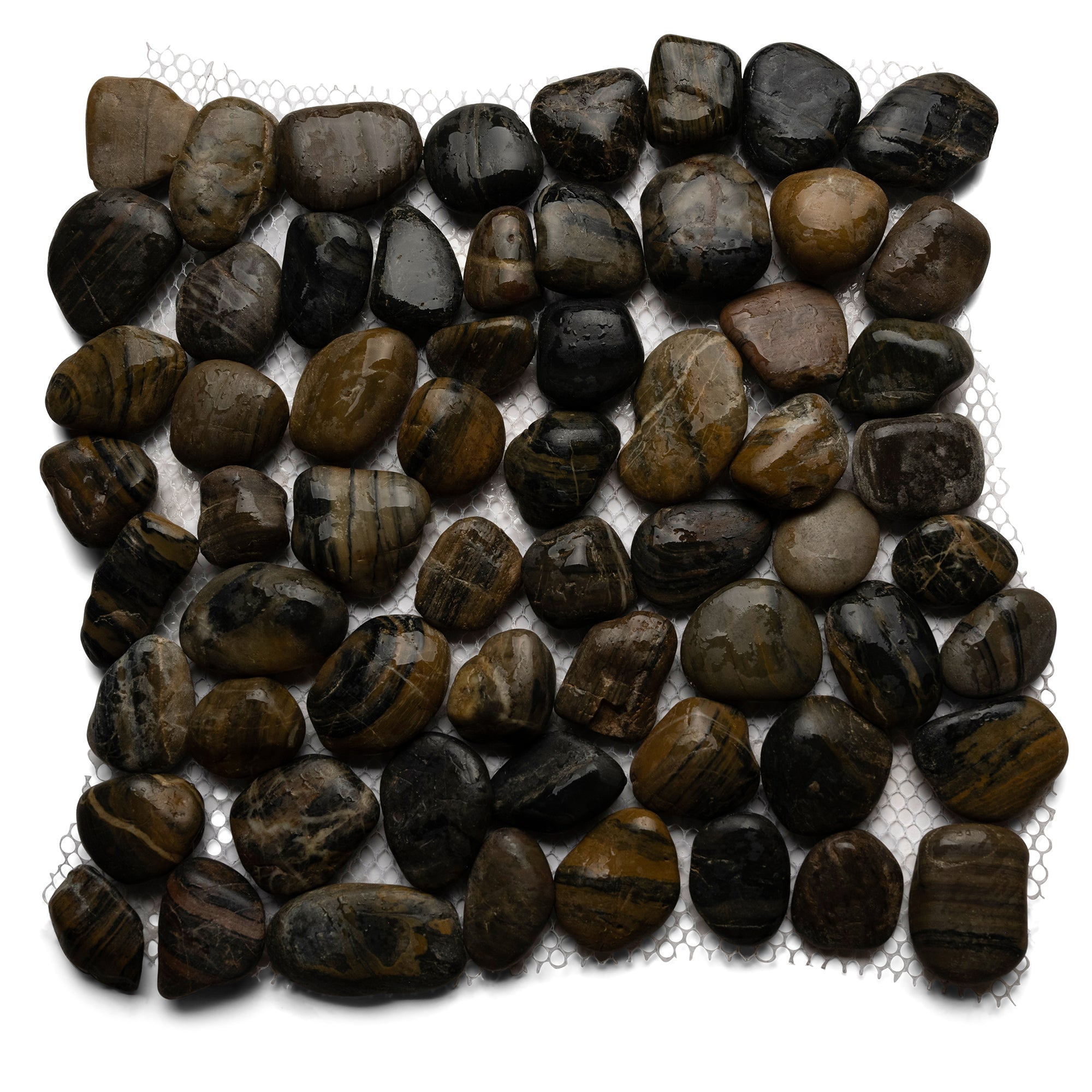 Polished Tiger Eye Pebble Tile - Pebble Tile Shop