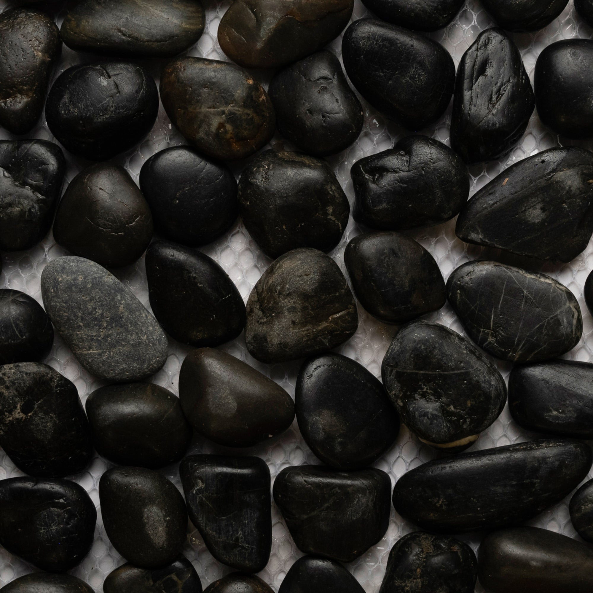 Polished Black Pebble Tile - Pebble Tile Shop