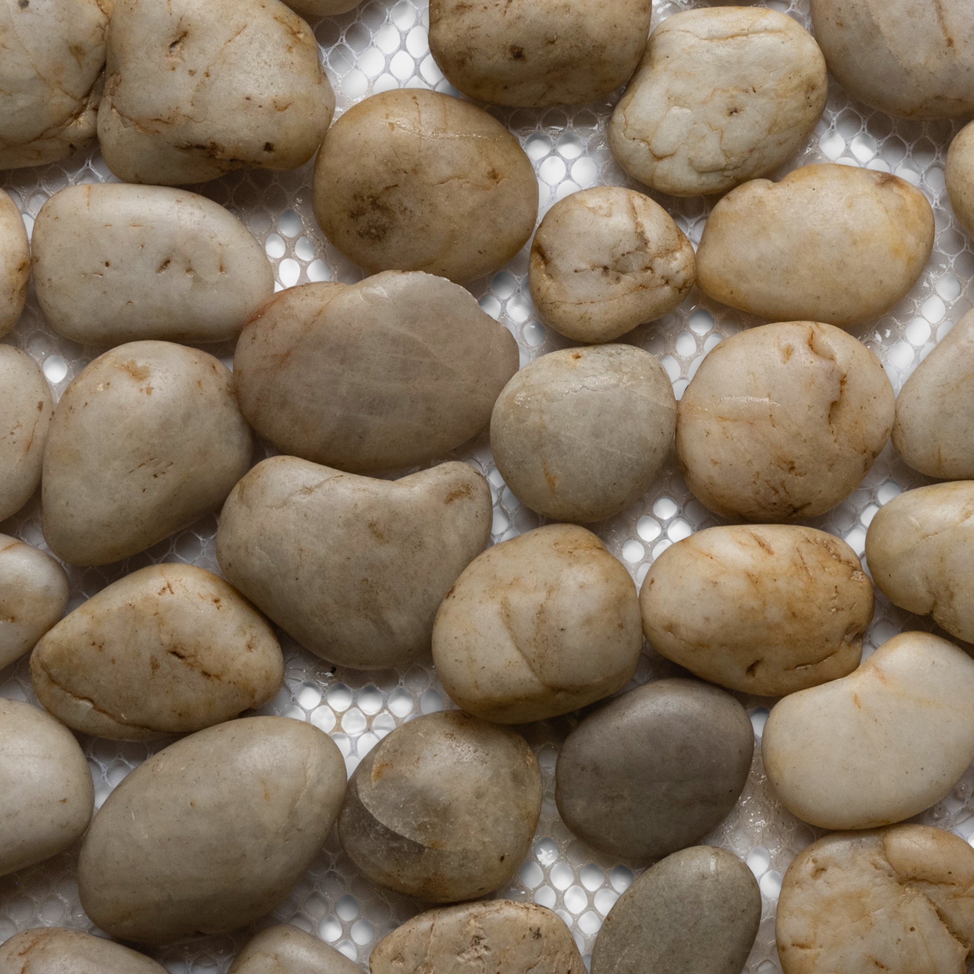 Polished White Pebble Tile - Pebble Tile Shop