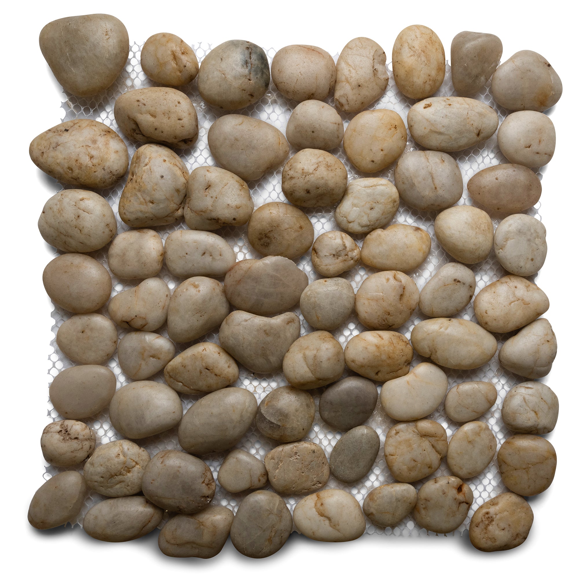 Polished White Pebble Tile - Pebble Tile Shop