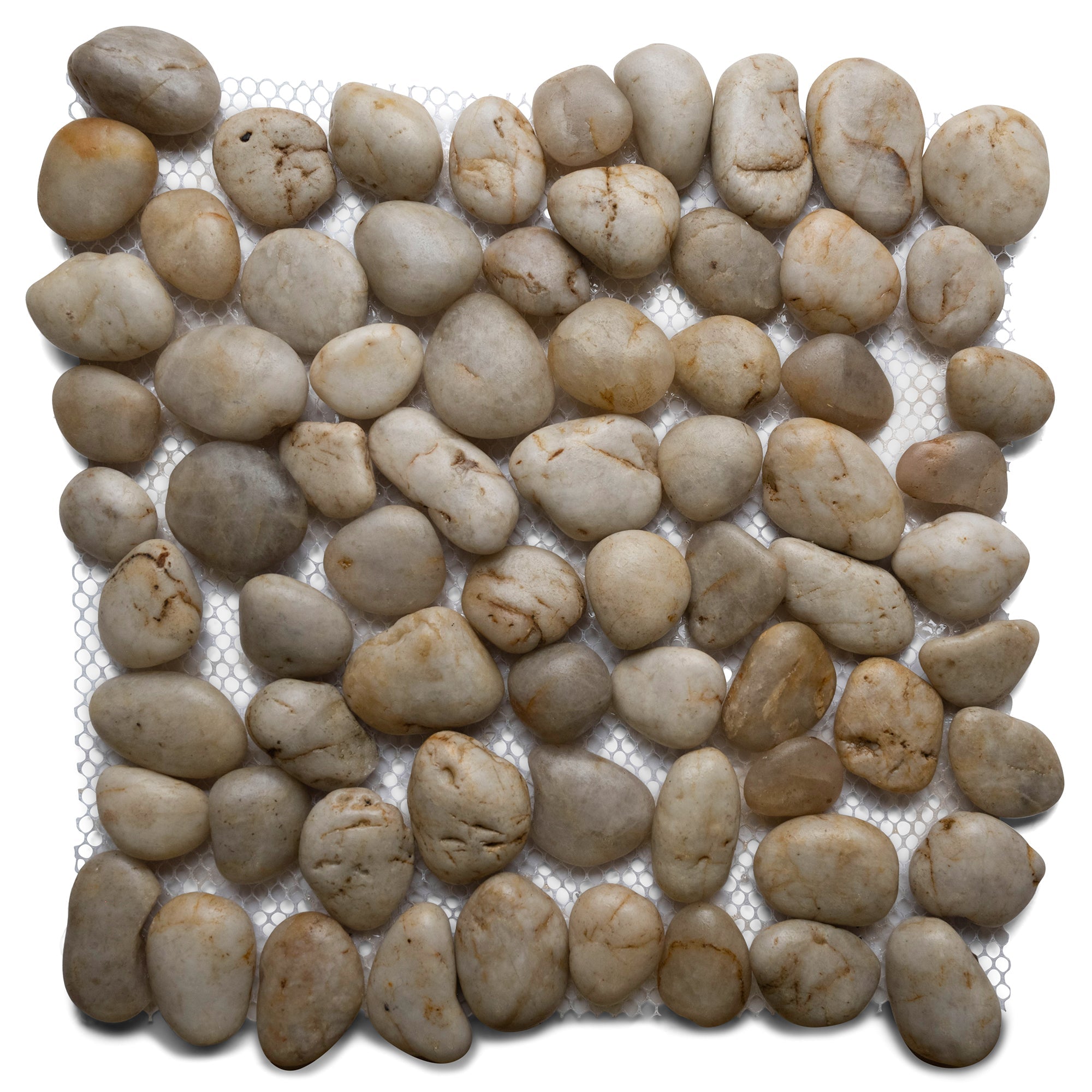 Polished White Pebble Tile - Pebble Tile Shop