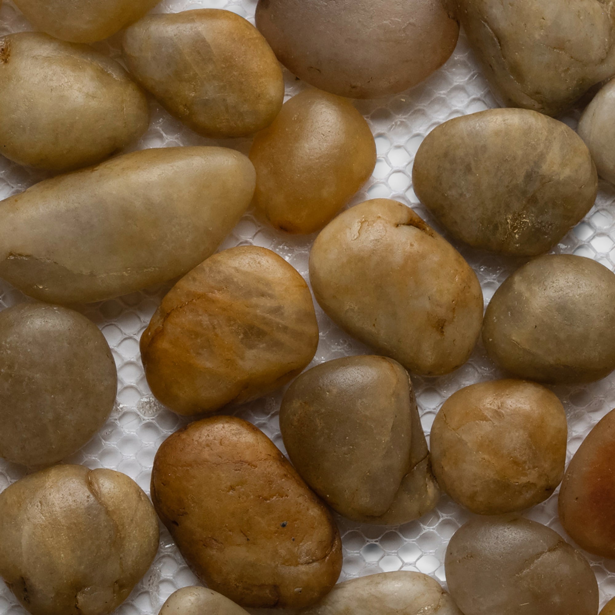 Polished Amber Pebble Tile - Pebble Tile Shop