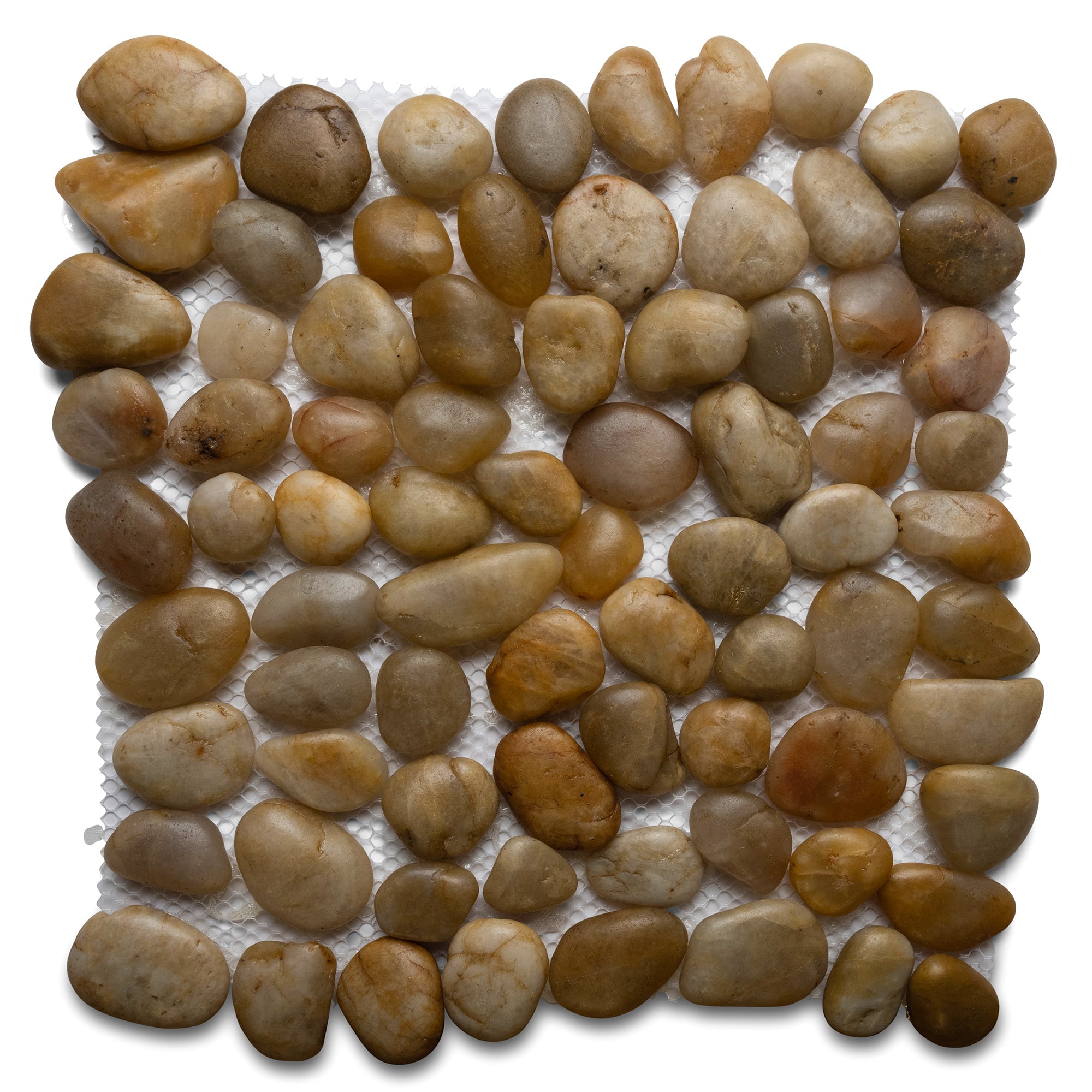 Polished Amber Pebble Tile - Pebble Tile Shop