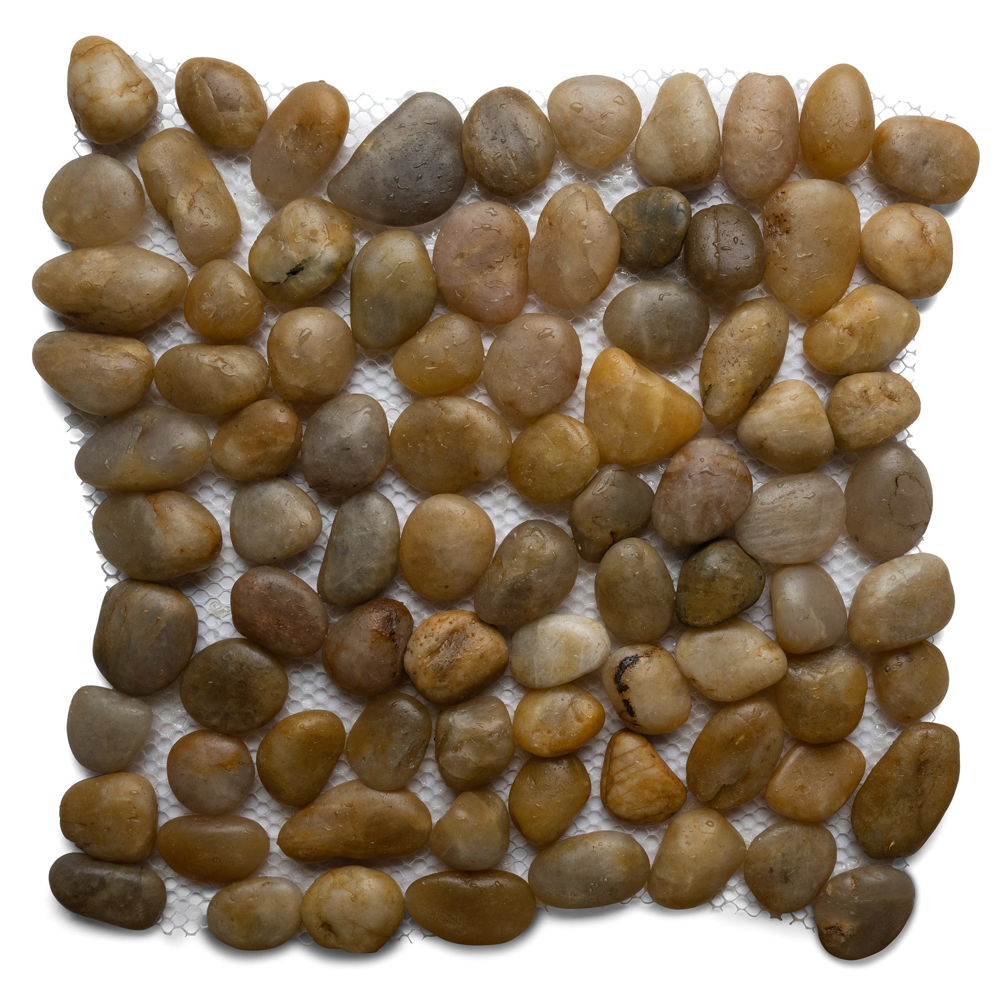 Polished Amber Pebble Tile - Pebble Tile Shop