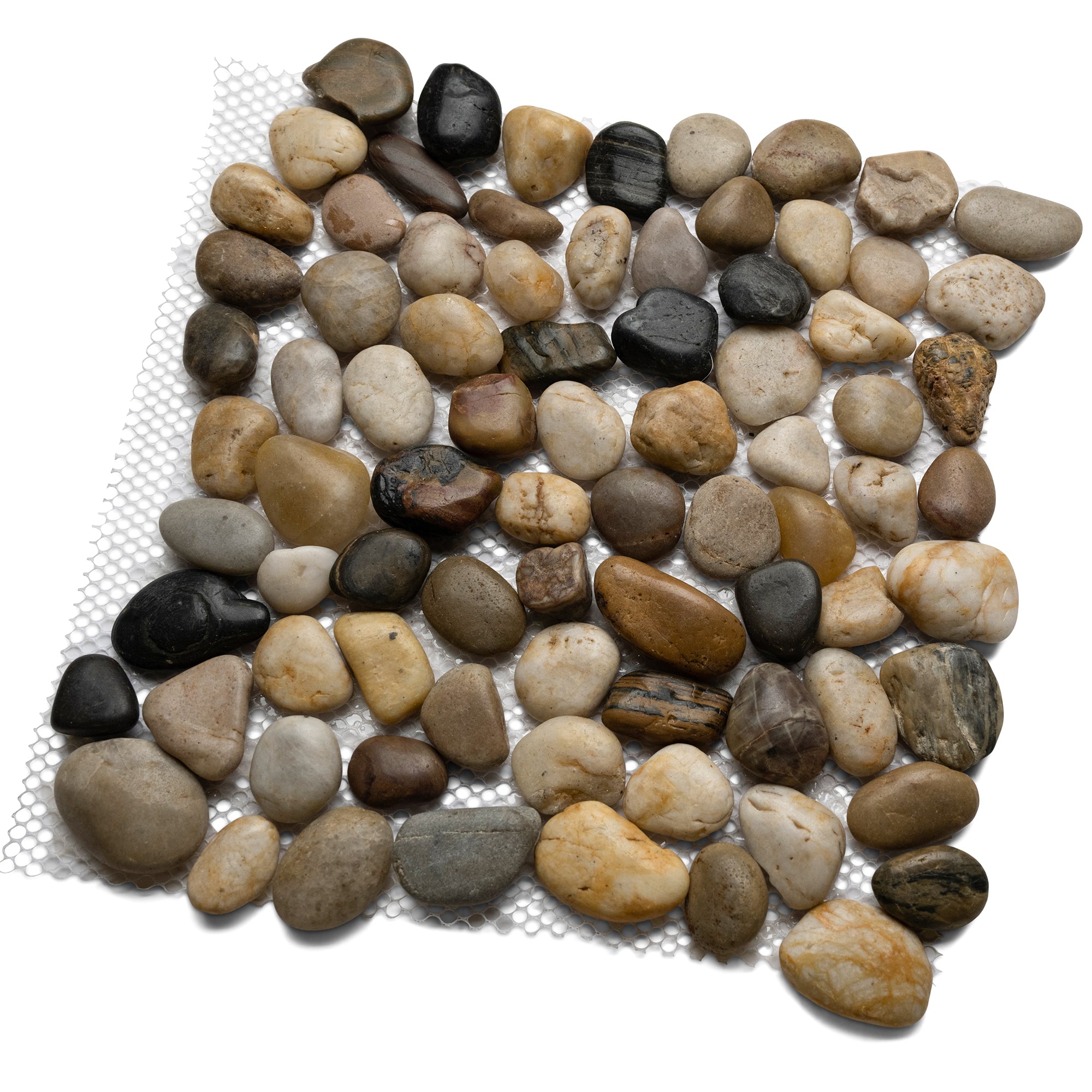 Polished Wine Pebble Tile - Pebble Tile Shop