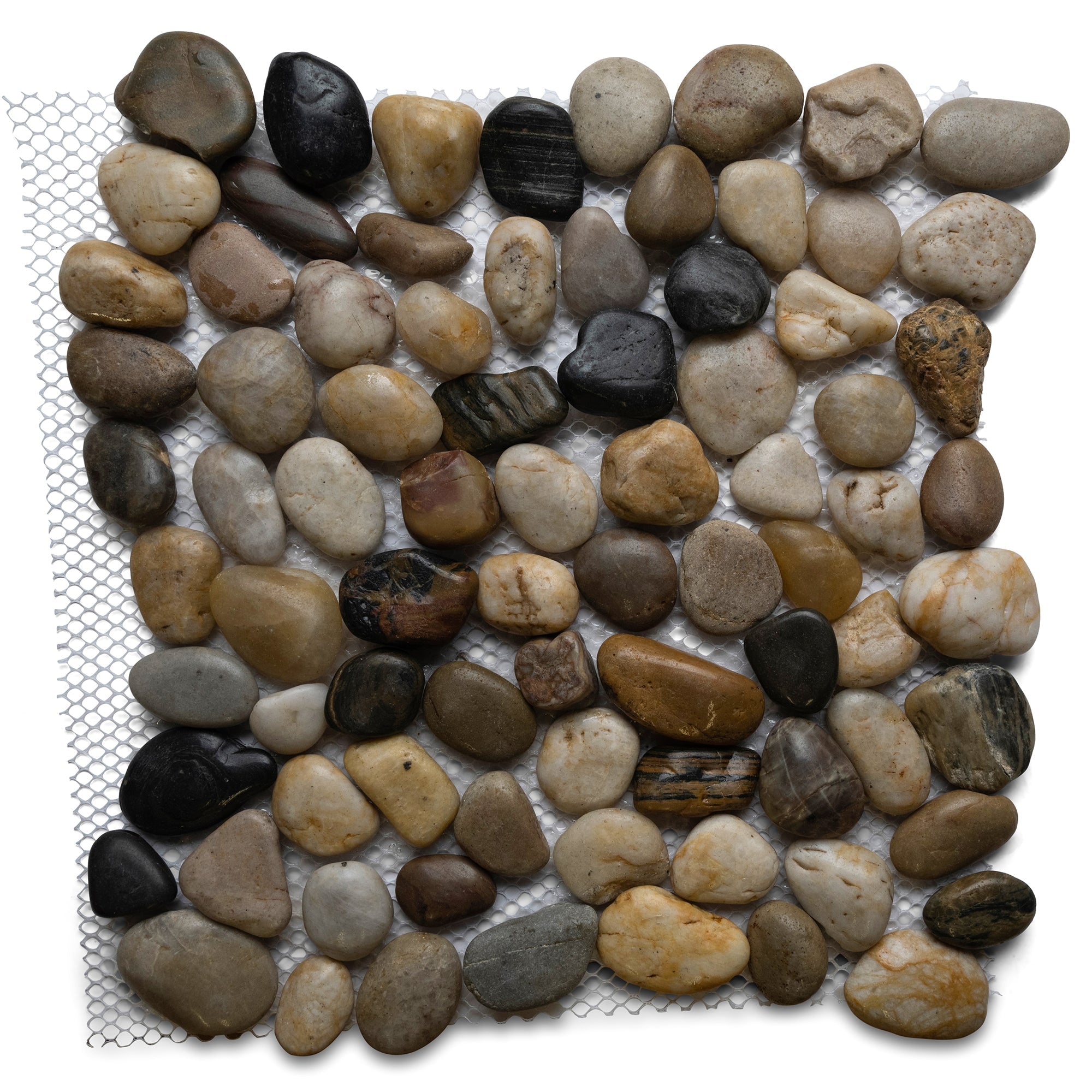 Polished Wine Pebble Tile - Pebble Tile Shop