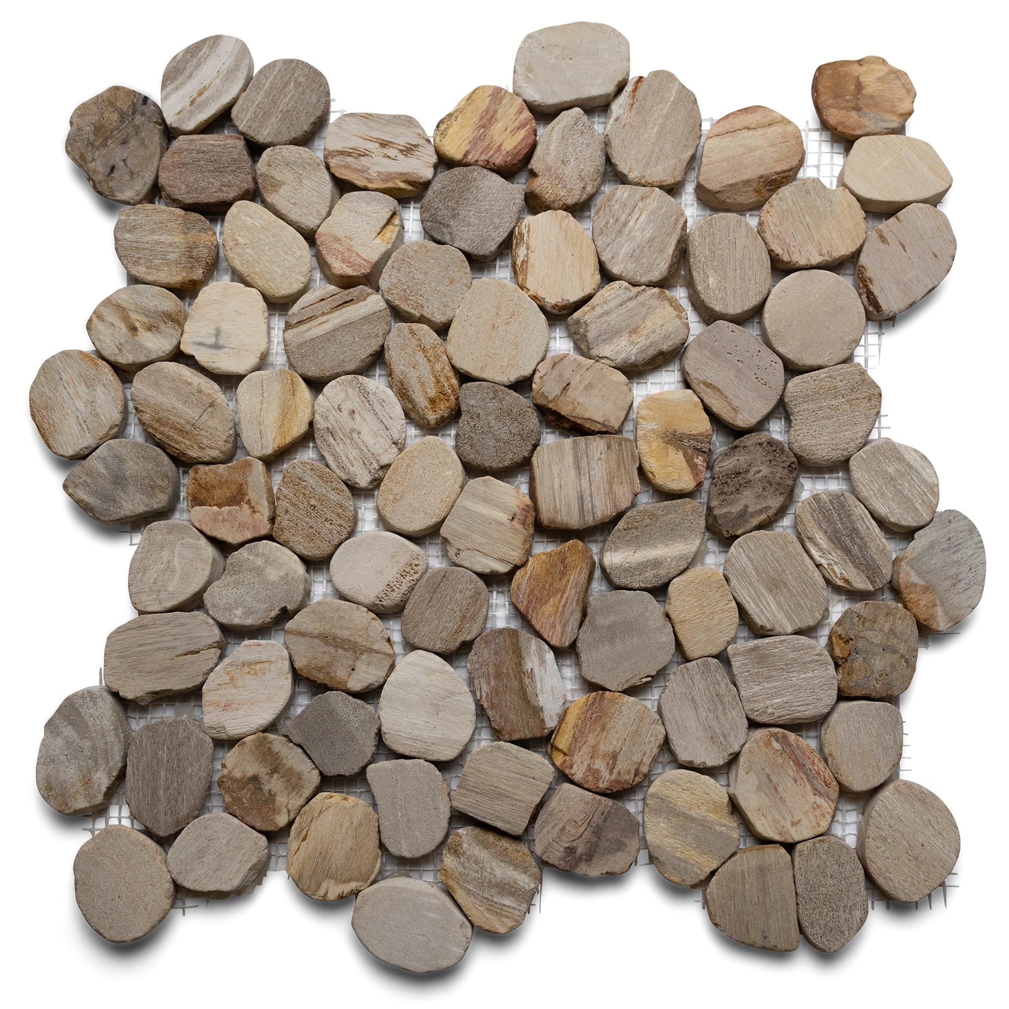 Sliced Mini Oval Petrified Fossil Pebble Tile - Pebble Tile Shop