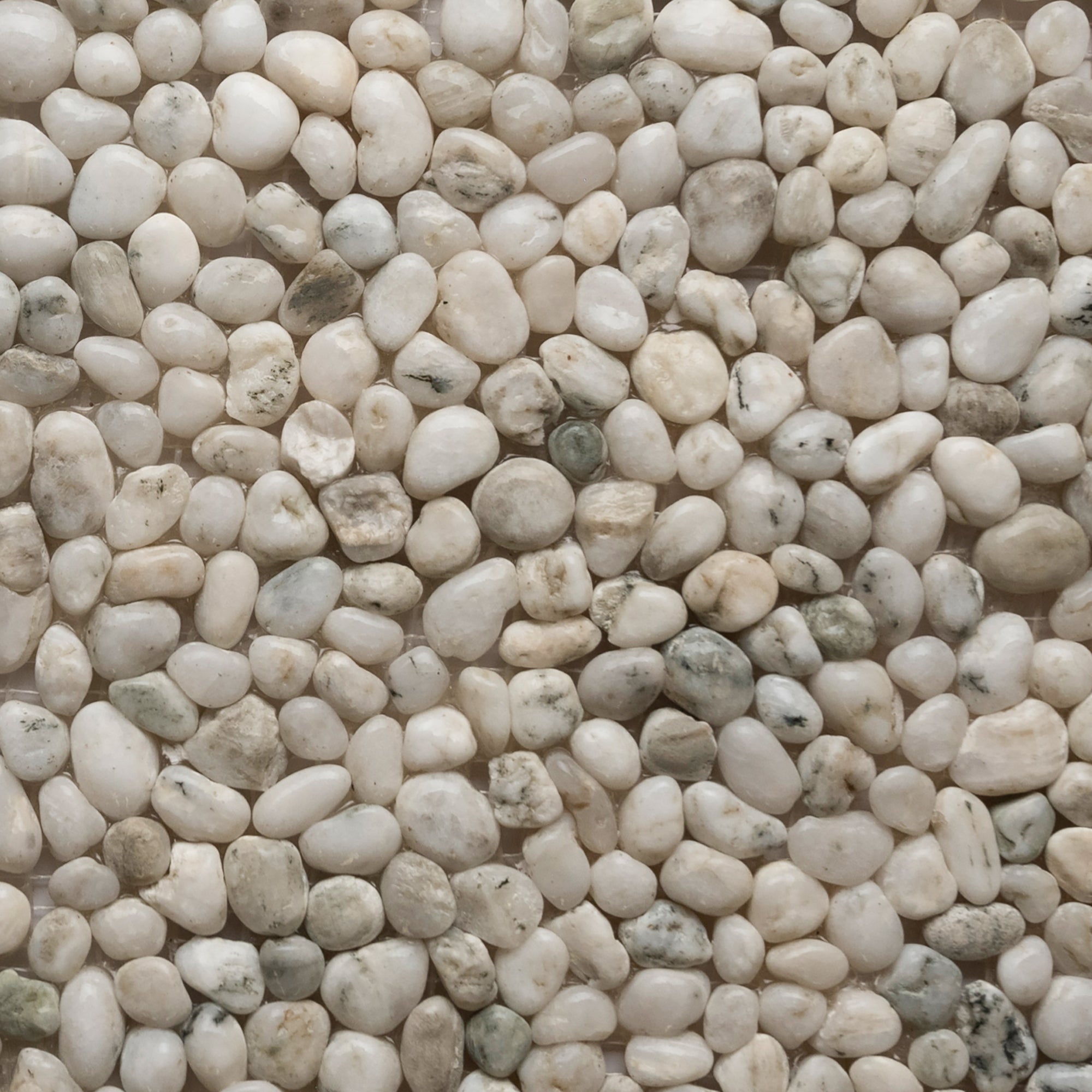 Glacier White Mini Pebble Tile - Pebble Tile Shop