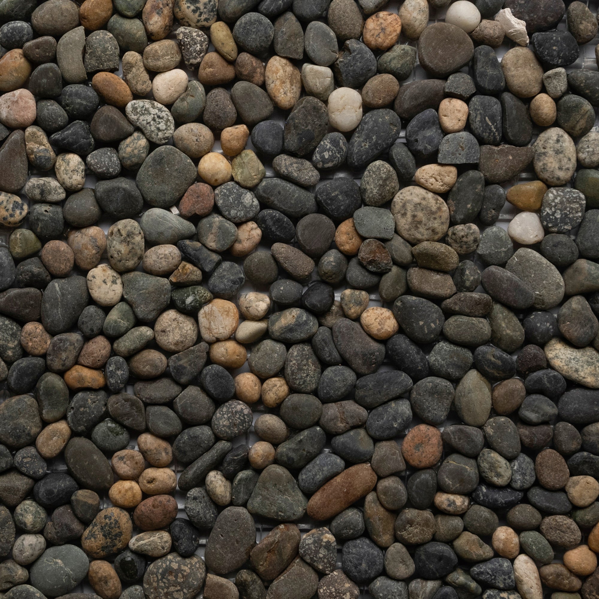 Ebony Mixed Mini Pebble Tile - Pebble Tile Shop