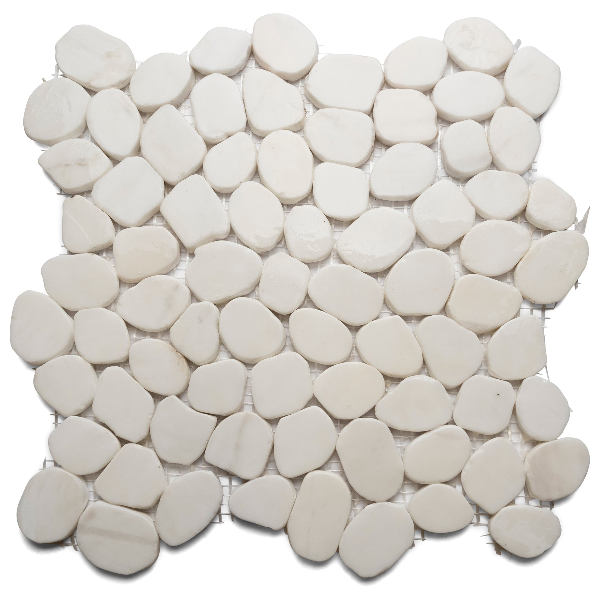 Bianco Dolomite Small Round Sliced Pebble Tile - Pebble Tile Shop